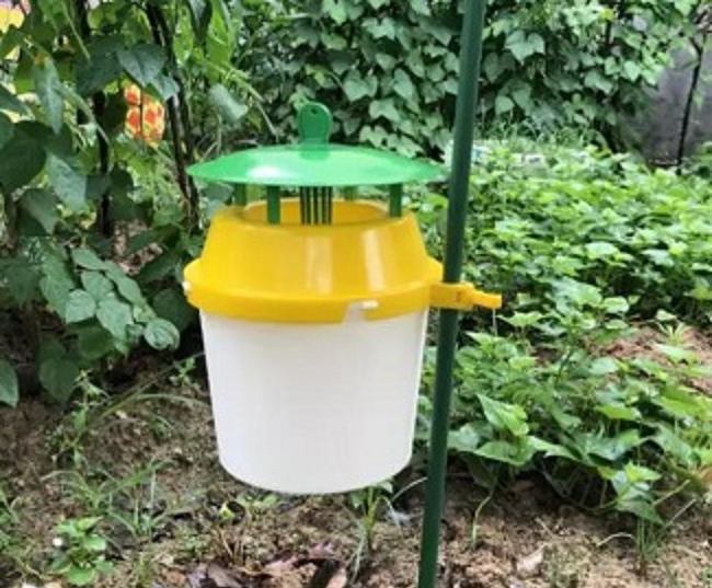 1655082378181026.jpg 1655082286(1).jpg