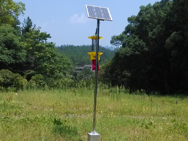 1656403973151295.jpg IMG_20150805_105131.jpg