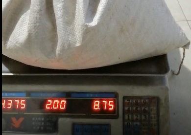 云飛殺蟲燈一天殺蟲量將近9斤，客戶都驚呆了