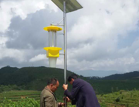 殺蟲燈在烤煙行業(yè)中的應(yīng)用效果對比分析