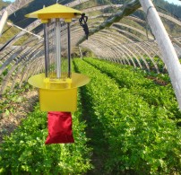 溫室大棚殺蟲燈