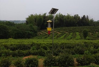 蔬菜太陽能殺蟲燈