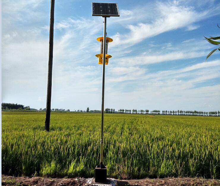 稻田太陽能殺蟲燈