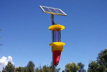 云飛頻振式殺蟲(chóng)燈來(lái)到芒果之鄉(xiāng)田東縣