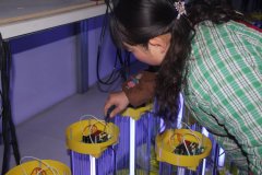 認(rèn)真檢測(cè)每一臺(tái)殺蟲燈