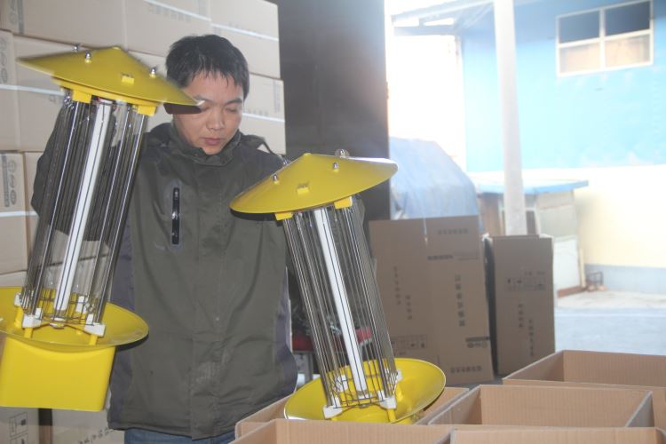 正在裝箱的殺蟲燈