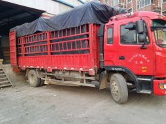 殺蟲燈發(fā)貨