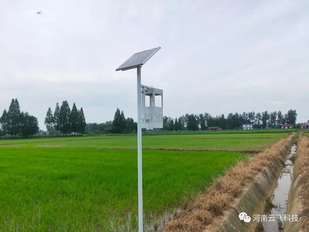 風(fēng)吸式太陽(yáng)能殺蟲(chóng)燈